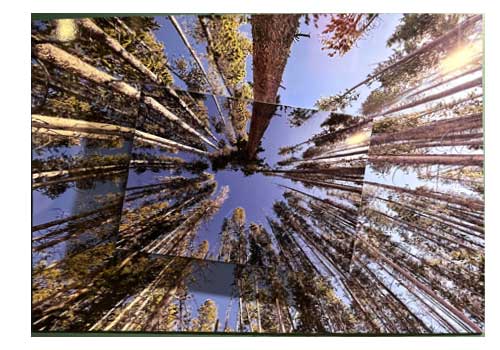 Shufelt Group - photo called "Kaleidoscope" at Uncommon Grounds New York State Plaza location