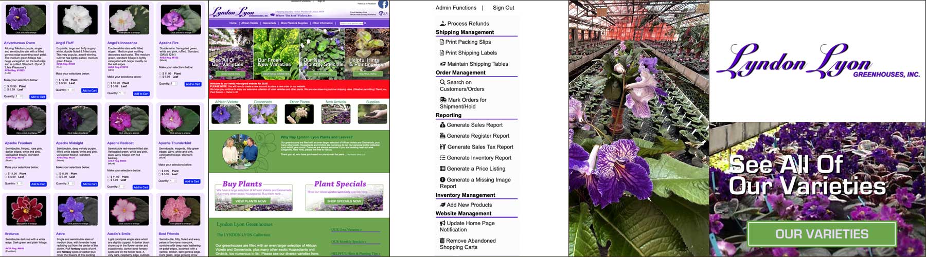 e-Commerce system built for Lyndon Lyon Greenhouses, Inc. of Dolgeville, NY